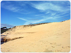 La Dune du Pyla (1)