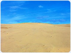 La Dune du Pyla (3)